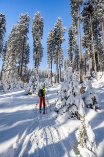 Ski tourer in snowy winter forest, ascent to Teufelstättkopf, Snowy mountain landscape, Ammergau