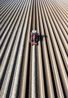Klaistow, 07.03.14 JE - An aerial photo shows a tractor in a large asparagus field. Getting ready