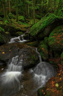 Gertelbach, Gertelbach waterfalls in autumn, Gertelbach gorge, Bühl, Bühlertal, Northern Black