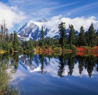 A tranquil scene featuring a pristine lake reflecting a majestic snow capped mountain. Evergreen