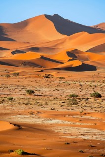 Red sand dunes, Sossusvlei region, Namib Desert, Namib-Naukluft National Park, Namibia