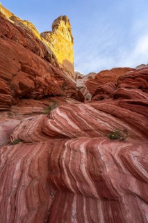 Sunlit, golden hues illuminate towering rock formations at White Pocket, Arizona, showcasing