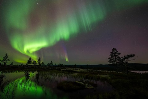 Northern Lights (Aurora borealis) reflected in a mountain lake, Norrbotten, Lapland, Sweden,