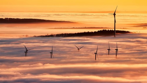 Forest and wind turbines rise from cloud cover, wind farm, silhouettes at sunset, dense sea of fog