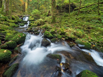 Cascades of the pond stream in the pond gorge in autumn, pond gorge waterfall, moss-covered rocks
