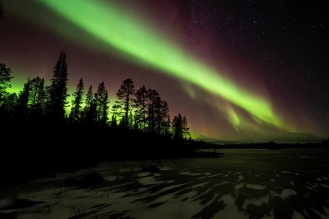 Northern Lights (Aurora borealis) over a frozen lake, Norrbotten, Lapland, Sweden, October 2022