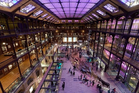 Grande Galerie de l'Evolution, Musée National d'Historie Naturell, National Museum of Natural