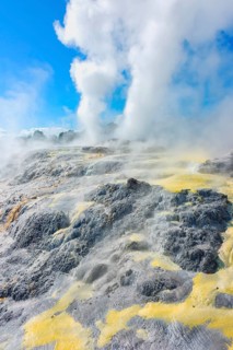 Prince of Wales and Pohutu geysers erupting, Te Puia Thermal Valley, Rotorua, Bay of Plenty, North