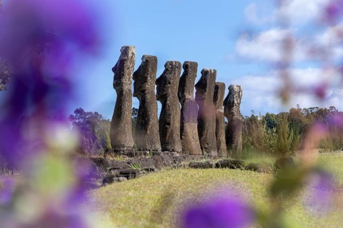 Moai stone figures on the platform of Ahu Akivi, seven statues set up in a row with views of the