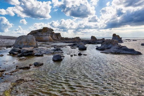 Raukar in the former Gamle Hamn or Gamla Hamn harbour basin, coastline, Fårö island, Gotland,