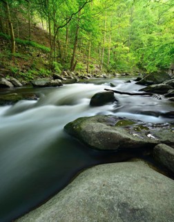 The River Bode with rapids and boulders in the Bode Valley between Thale and Treseburg, Harz