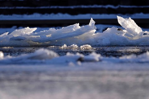 Elbe with ice floes, winter, Dresden, Saxony, Germany