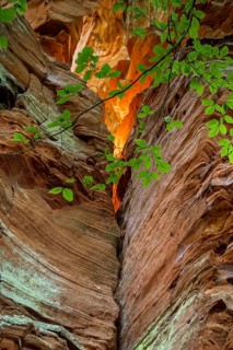 Sandstone Cliffs, Old Castle Rock, near Eppenbrunn, Palatinate Forest, Rhineland-Palatinate,