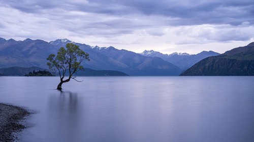 Wanaka Tree, long exposure, Lake Wanaka, Otago, South Island, New Zealand
