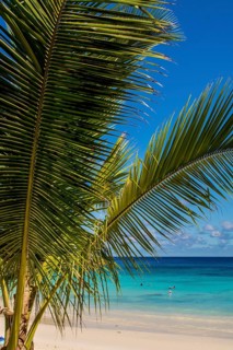 Petit Anse Beach at the Four Seasons Resort, Mahe, Republic of Seychelles, Indian Ocean