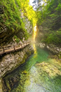 Sunlight filters through trees illuminating a wooden walkway over a clear emerald river flowing
