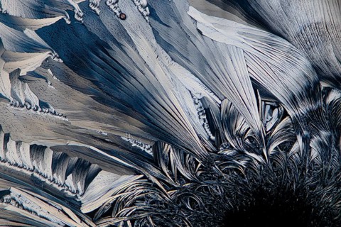 A captivating monochrome microscopic image exhibiting the complex crystalline structure of
