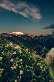 Hiking tour on the Hönig mountain in the Lechtal valley near Berwang in Tyrol, Austria