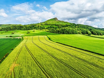Roseberry Topping from a drone, Great Ayton, Newton, North Yorkshire, England, United Kingdom
