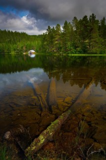 Old tree lying in the water of a lake, portrait format, landscape photo, clouds, boathouse, Tynset,
