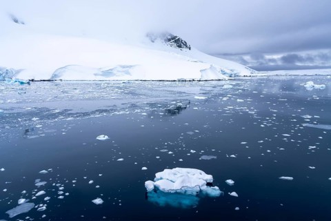 Drift ice and small iceberg on calm water surface, snow-covered mountain slopes under overcast sky