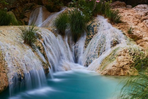 Several small waterfalls flow over rocks surrounded by plants and turquoise water, waterfalls,