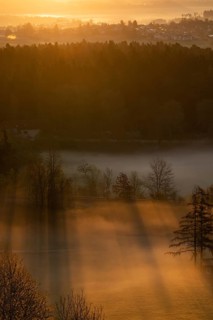 Sunrise and morning fog, Black Forest near Freudenstadt, Baden-Württemberg, Germany