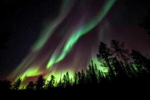 Northern Lights (Aurora borealis), Norrbotten, Lapland, Sweden, October 2022