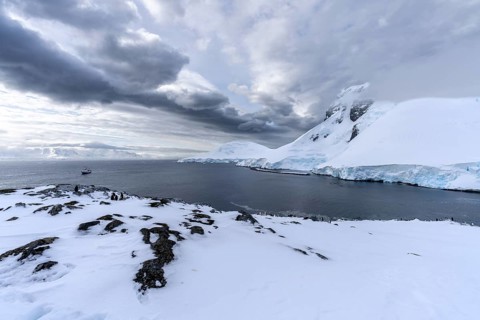 Coastal landscape with gentoo penguins (Pygoscelis papua) on snow-covered rocks, expedition ship in