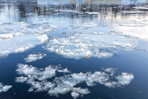 Drift ice and frozen ice rinks on the banks of the Elbe, Dresden, Saxony, Germany