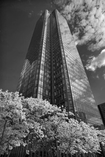 High-rise office building in La Défence, largest office building district in Europe, black and