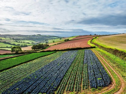 Fields and Farms at evening sun from a drone, Shaldon, Torquay, Devon, England, United Kingdom