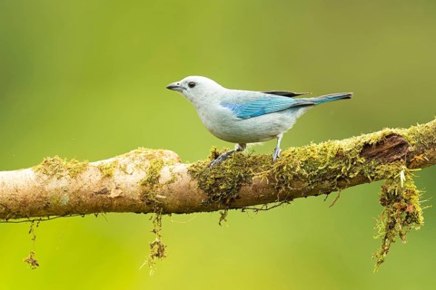 Naturfotografie Sylvia & Olaf Rentzsch