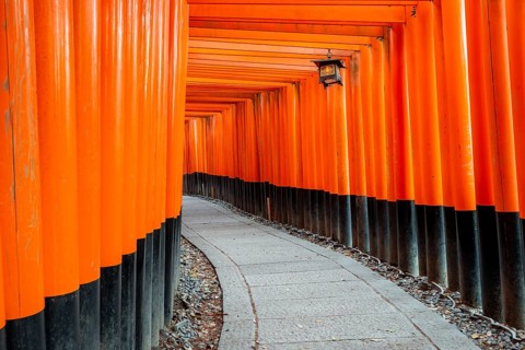 Walk through hundreds of red traditional torii gates, Fushimi Inari Taisha, Shinto Shrine, Fushimi
