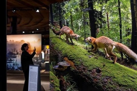 New exhibition at Gasometer Oberhausen, Mythos Wald, on 3 levels and with several thematic