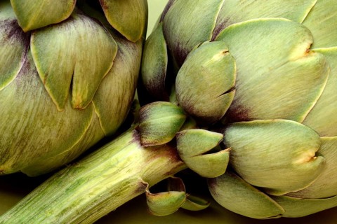 Artichoke, close-up, (Cynara scolymus)