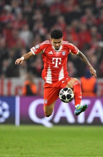 Luis Diaz FC Bayern Munich FCB (14) Action on the ball Football UEFA Champions League CL Allianz
