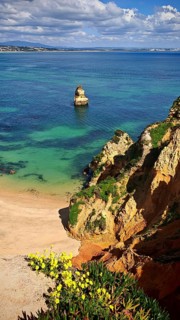 Bright beach near cliffs lined with yellow flowers overlooking the sea, Praia do Camilo, Lagos,