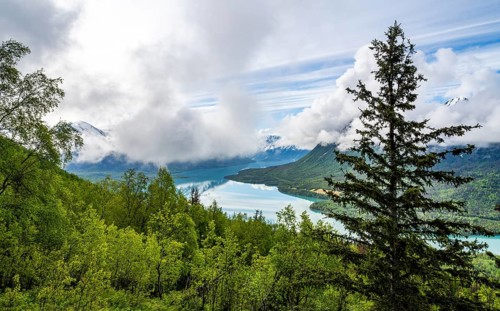 View of snowy mountains in spring and turquoise blue Kenai Lake, Slaughter Ridge Trail, Cooper