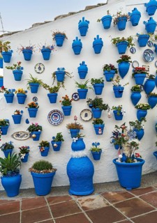 Blue flower pots on whitewashed wall, Patio de las Comedias, Castle of Iznajar, Castillo de