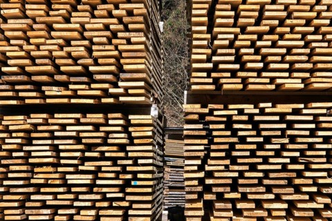 Stacked wooden boards, Oberallgäu, Allgäu, Bavaria, Germany
