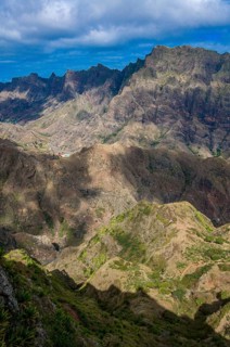 Rock vegetation on island San Antao. Cabo Verde. Africa