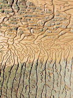 Network of channels and streams at low tide. In the marshland adjacent to the Odiel river. Aerial