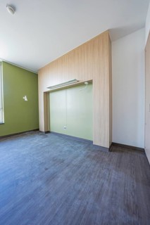 Empty room with minimalistic wood paneling and green wall, optional patient room in the new