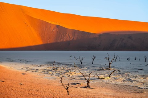 Dead camel thorn trees (Vachellia erioloba), red sand dunes, white salt pan, Dead Vlei, Sossusvlei,