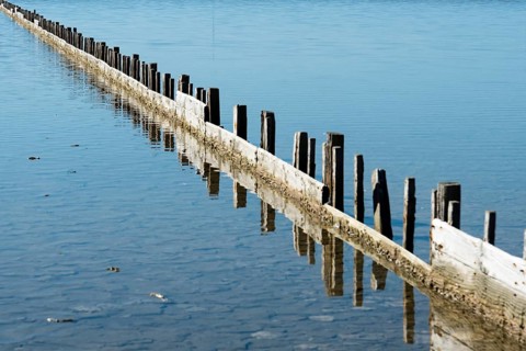 Still life, water, gate, fence in water, barrier, partition