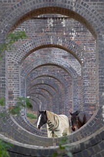 View through openings in piers of a railway viaduct, horses, Stanway, Broadway, The Cotswolds,
