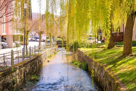 A river runs through an urban environment, framed by hanging willows and spring greenery,