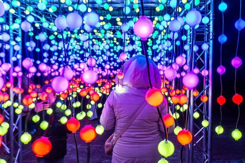 Park lights, winter event, in the Grugapark in Essen, many different light installations, across