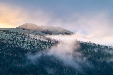 Evening fog in the mountains, Alvdal Vestfjell, Hedmark, Innlandet, Norway, October 2025